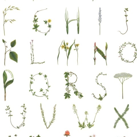 Tapet Floral Alphabet Mini, Swedish, Rebel Walls, 5 mp / rola - Img 2
