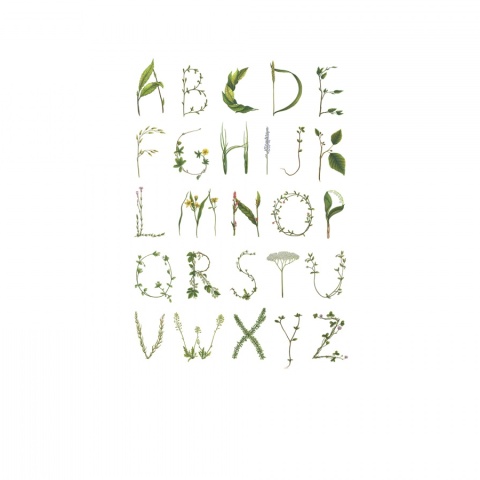 Fototapet, ABC for the Spelling Bee, Rebel Walls - Img 2