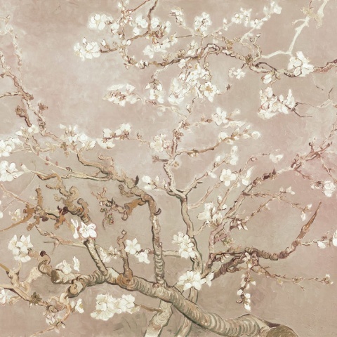 Fototapet, Almond Blossom, Beige, Rebel Walls - Img 2