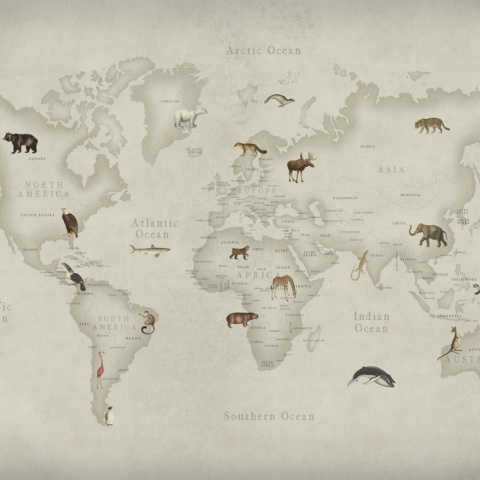 Fototapet, Animal World, Rebel Walls - Img 2