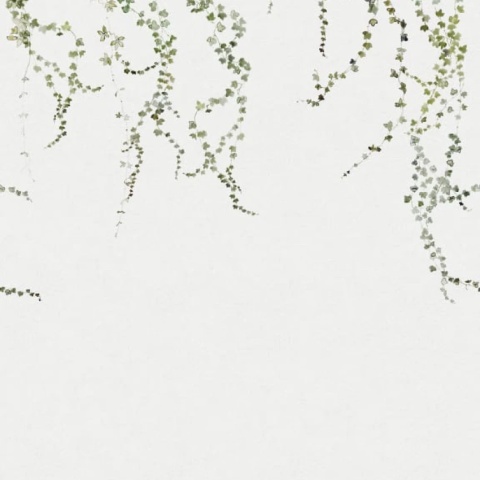 Fototapet Aralia Green, 155x195H, Sandberg - Img 4