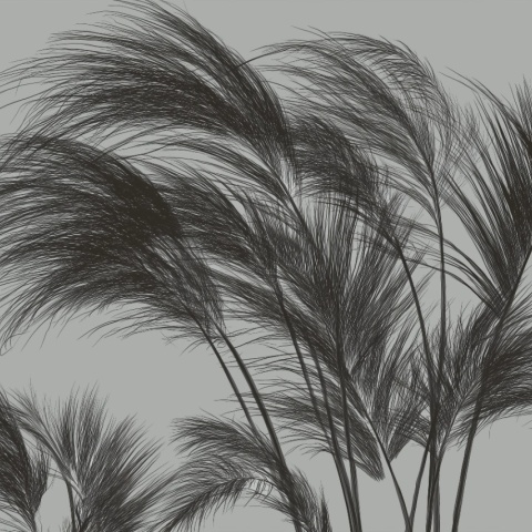 Fototapet Artistic Tendance Plumet Rêve TP200