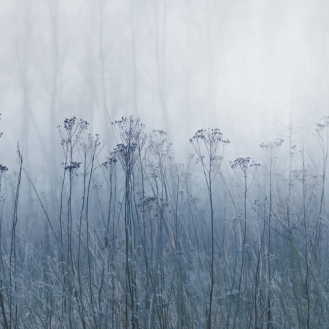 Fototapet, Autumn Haze, Blue, Rebel Walls - Img 2