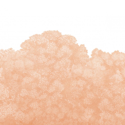 Fototapet, Belle Buisson, Peach Fuzz, Rebel Walls - Img 5