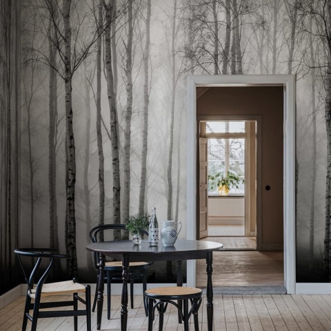 Fototapet, Birch Fog, Black & White, Rebel Walls