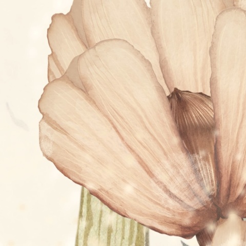 Fototapet, Bloomy Fields of Marion, Off White, Rebel Walls - Img 4
