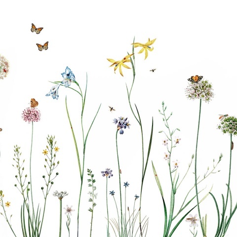 Fototapet Butterfly Garden, Kikki Belle - Img 2