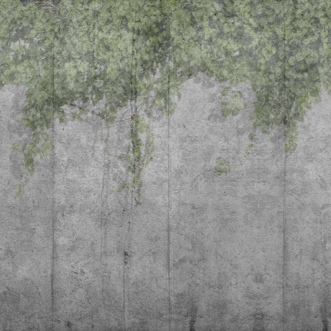 Fototapet Concrete Vine, VLAdiLA - Img 3