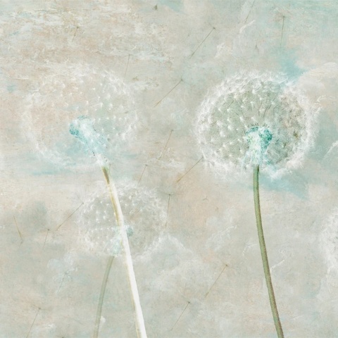 Fototapet Dandelion Whisper - personalizat, VLAdiLA - Img 2