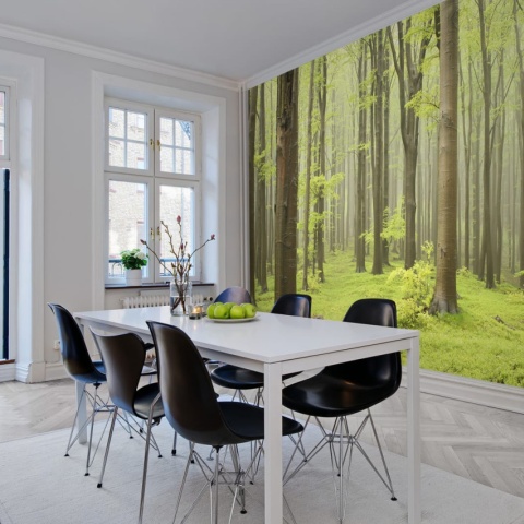 Fototapet, Deciduous Forest, Rebel Walls - Img 6