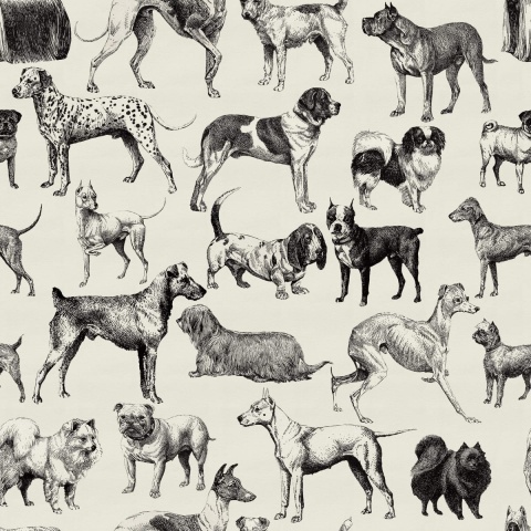Fototapet, Dogs, Creme, Rebel Walls - Img 2
