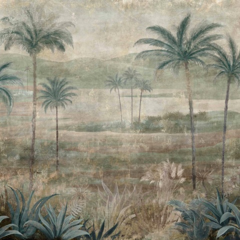 Fototapet, Draa Palms, Sage, Coordonne - Img 2