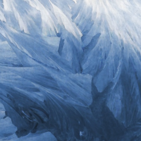 Fototapet, Feathers, Rebel Walls - Img 2