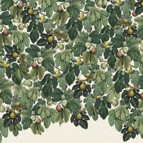 Fototapet, Fig Tree, Green, Rebel Walls - Img 5