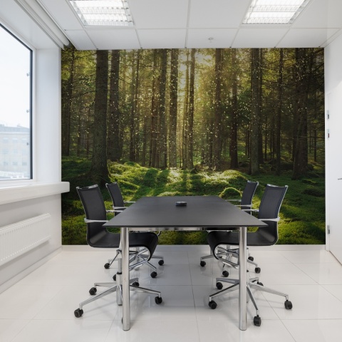 Fototapet, Forest Bath, Rebel Walls - Img 4