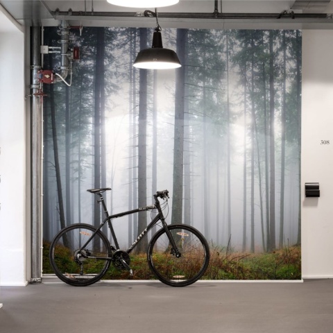 Fototapet, Forest Glade, Rebel Walls - Img 4