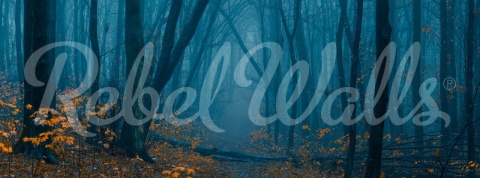 Fototapet, Hazy Forest, Rebel Walls - Img 5
