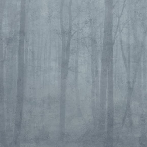 Fototapet lavabil, Skog Misty Blue, Sandberg - Img 2
