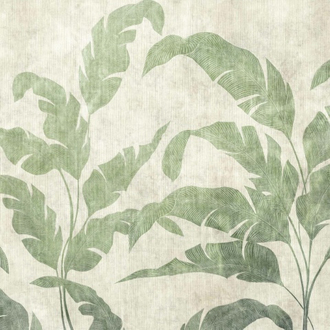 Fototapet, Leaves Shadow, Leaves, Coordonne - Img 2