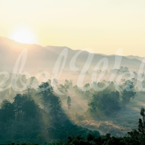 Fototapet, Morning Light, Rebel Walls - Img 2