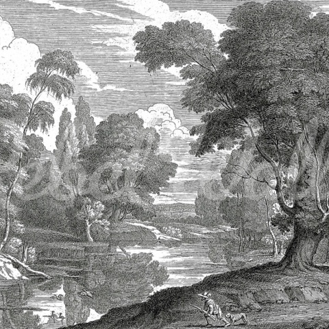 Fototapet, Park Etching, Gray, Rebel Walls - Img 2
