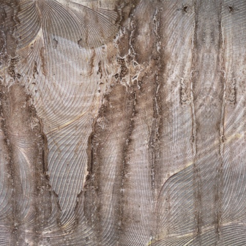 Fototapet Rustic Marcin Runowiecki R-Design Ravena B Rêve MRRB100