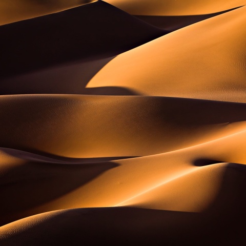 Fototapet, Sahara, Rebel Walls - Img 2