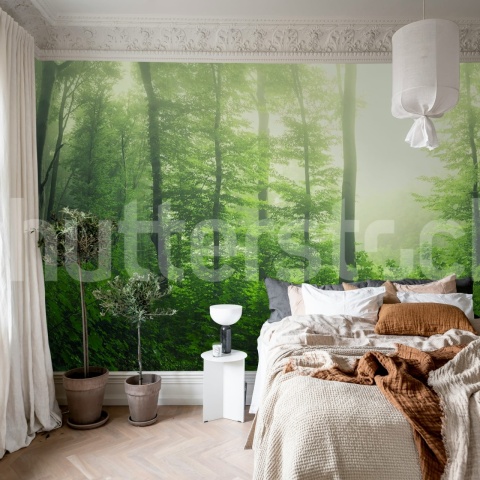 Fototapet, Serene Forest, Green, Rebel Walls