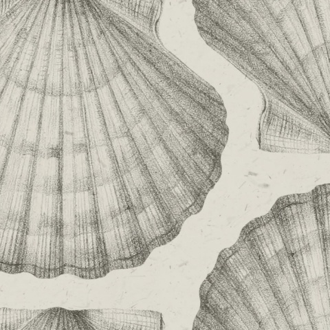 Fototapet, Shells, Sand, Rebel Walls - Img 2