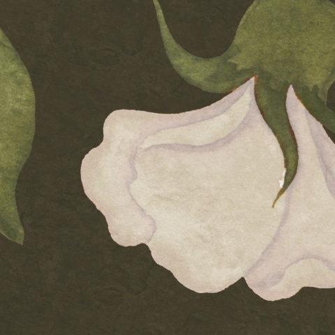 Fototapet, Soft Vines, Dark Green, Rebel Walls - Img 4