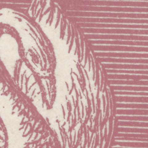 Fototapet, Swan Pond, Dusty Pink, Rebel Walls - Img 8