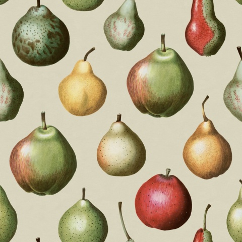 Fototapet, Vintage Pear, Happy, Rebel Walls - Img 2