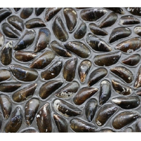 Panou decorativ 3D, Scoici, Dutch Dyke Black, 100x100 cm - Img 2