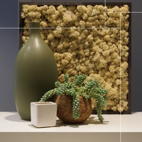 Panou decorativ din muschi, Torvtak Icemoss Natural - Img 2