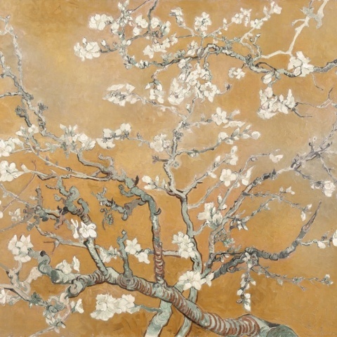 Fototapet, Almond Blossom, Orange, Rebel Walls - Img 2
