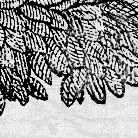 Fototapet, Bellewood under the Clouds, Graphite, Rebel Walls - Img 3