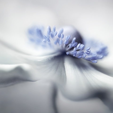Fototapet, Blue Pastil, Rebel Walls - Img 2