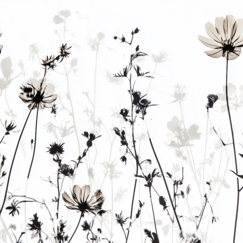 Fototapet Botanic Asahii Nonoka Rêve AN208