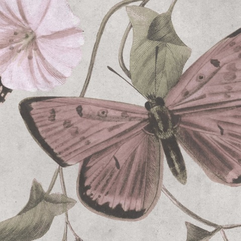 Fototapet, Butterflies, Pastel, Rebel Walls - Img 8