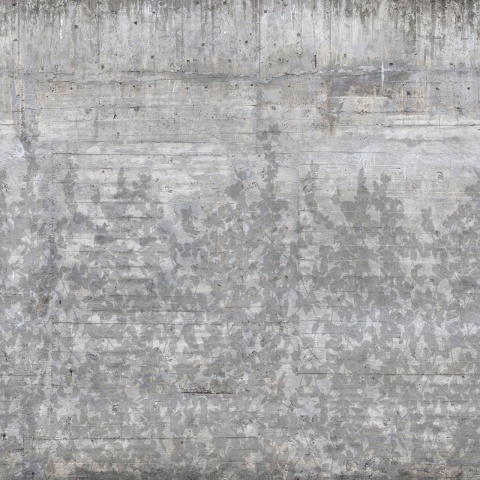 Fototapet, Climbing Clorofyl, Shadow, Rebel Walls - Img 2