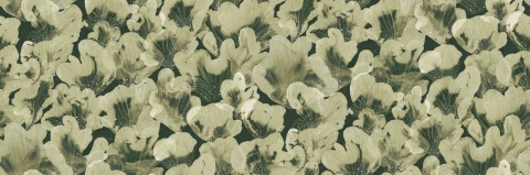 Fototapet, Corals, Green, Rebel Walls - Img 6