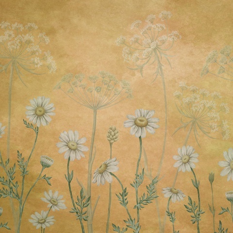 Fototapet Dazzling Daisies - Yellow, Sir Edward - Img 2