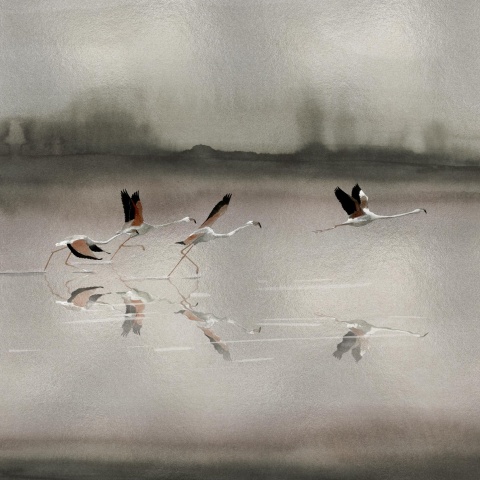 Fototapet Doñana, Silver, Coordonne - Img 2