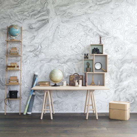 Fototapet, Elevation Lines, White, Rebel Walls - Img 4