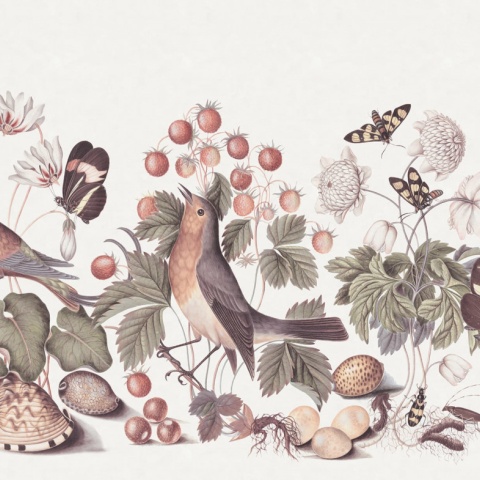 Fototapet, Flora and Fauna, Dust, Rebel Walls