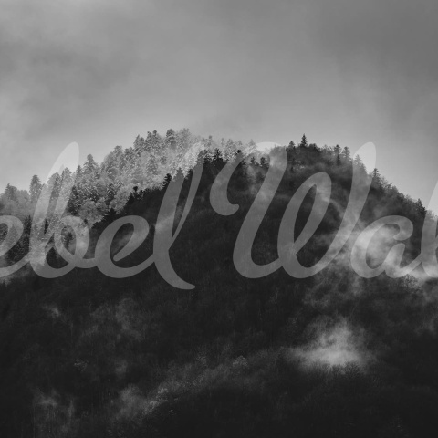 Fototapet, Foggy Mountain, Black &amp; White, Rebel Walls - Img 2