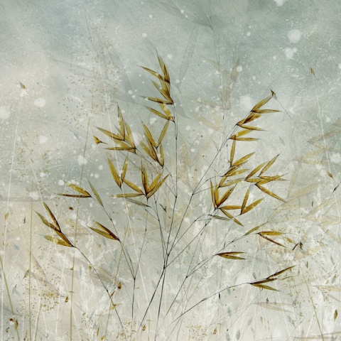 Fototapet, Golden Grain, Rebel Walls - Img 4