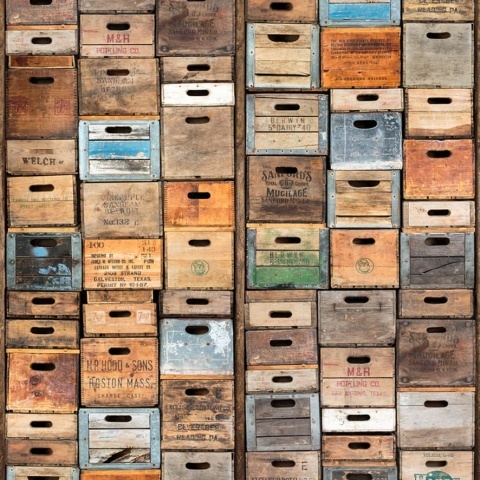 Fototapet, Industriel Urban Farm L.A., Rebel Walls - Img 2