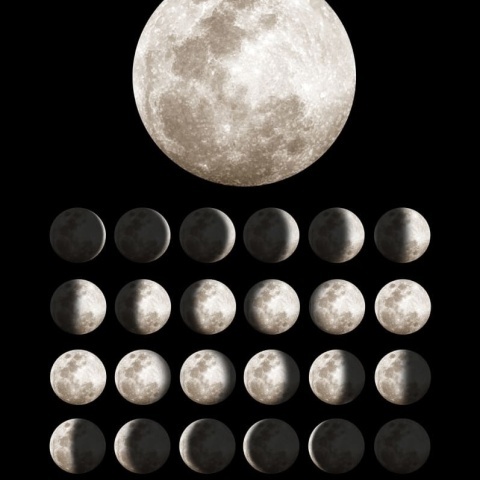 Fototapet, Moon, Rebel Walls - Img 2