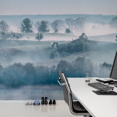 Fototapet, Morning Haze, Rebel Walls - Img 3